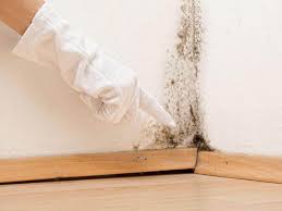 Best Emergency Mold Remediation  in Nixon, TX